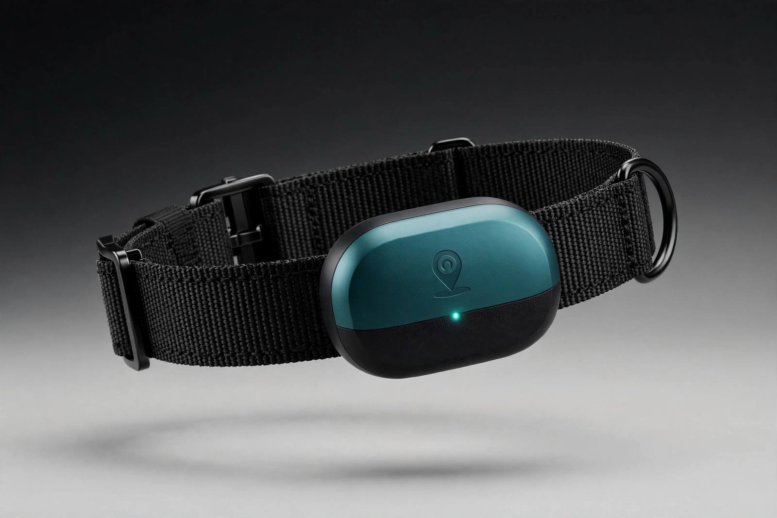 PawTrack GPS collar on a dog